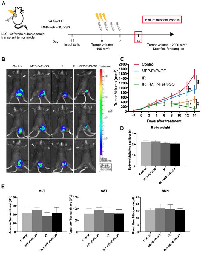 Int J Biol Sci Image