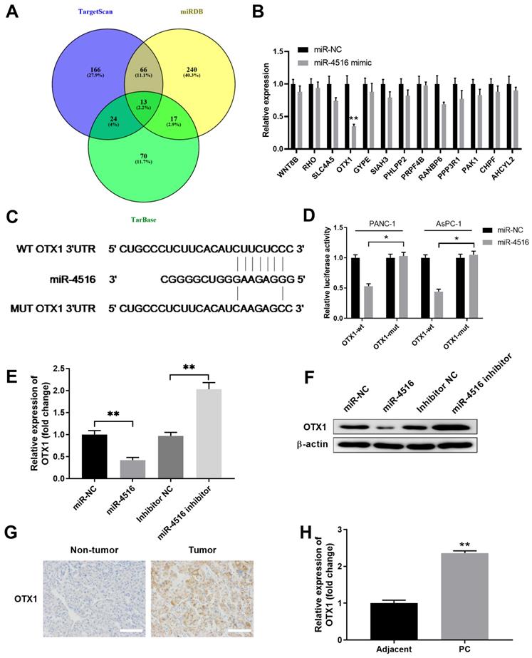 Int J Biol Sci Image