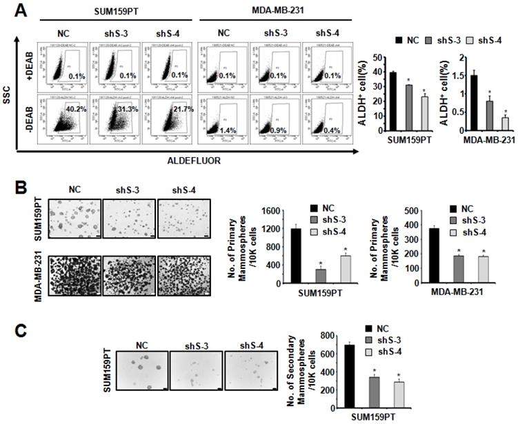 Int J Biol Sci Image