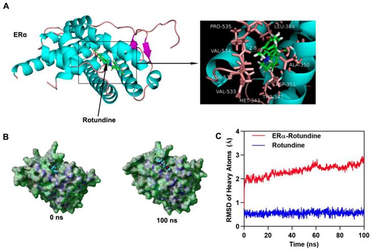 Int J Biol Sci Image