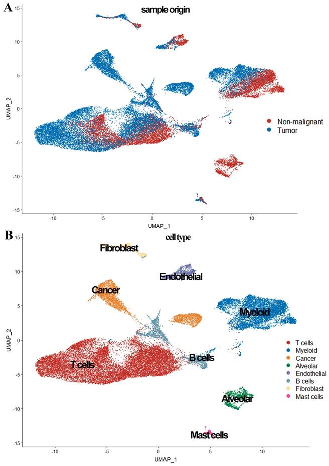 Int J Biol Sci Image