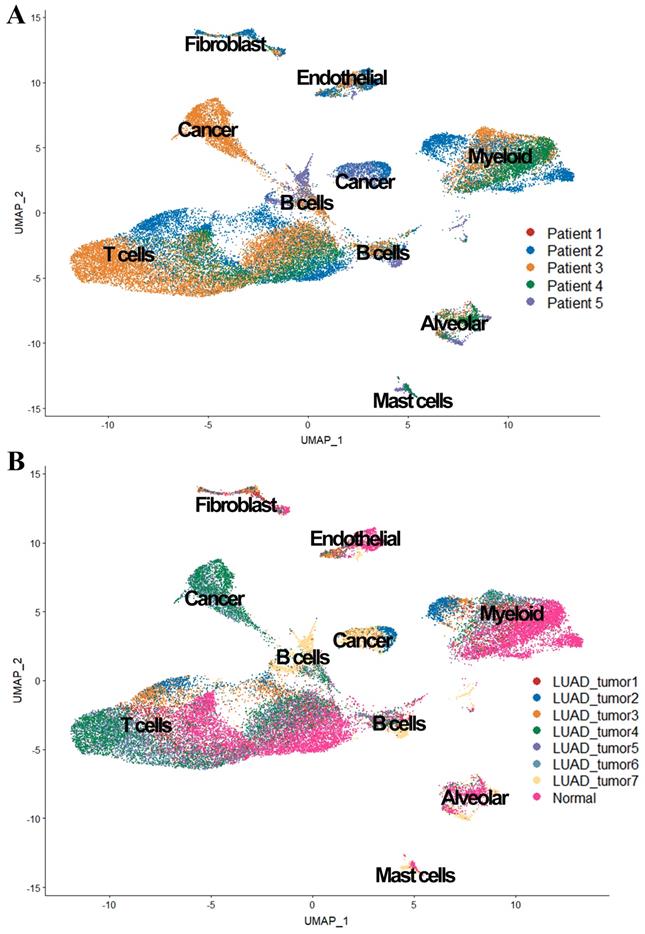 Int J Biol Sci Image