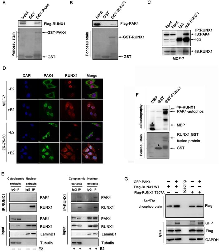 Int J Biol Sci Image