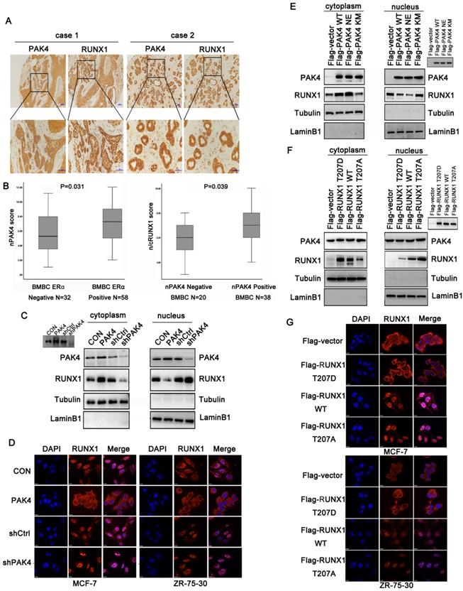 Int J Biol Sci Image