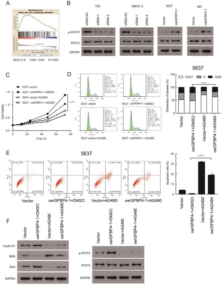 Int J Biol Sci Image