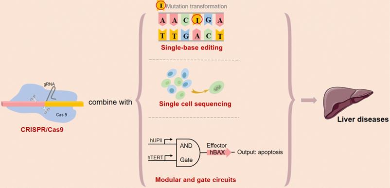 Int J Biol Sci Image