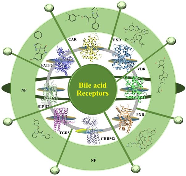 Int J Biol Sci Image