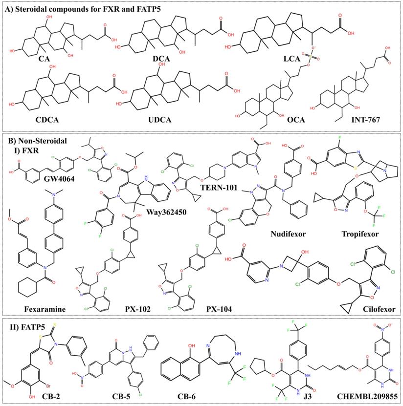 Int J Biol Sci Image