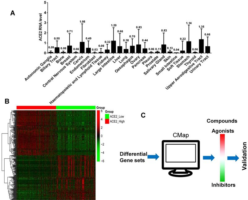 Int J Biol Sci Image