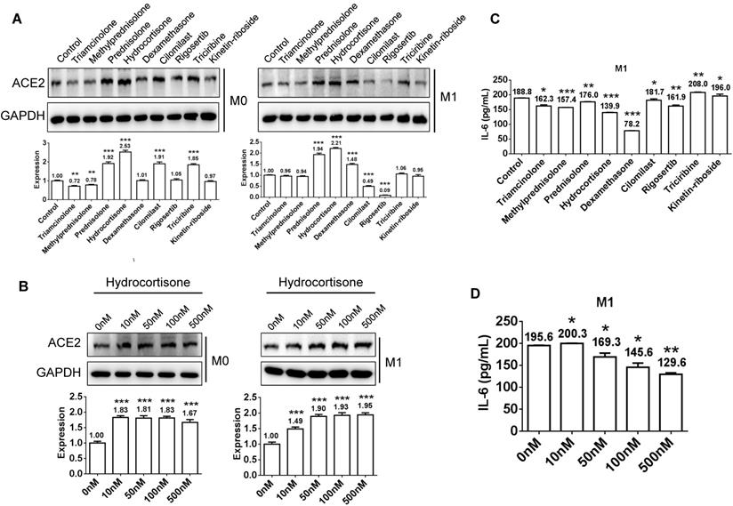 Int J Biol Sci Image