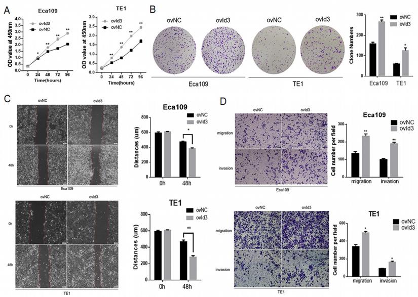 Int J Biol Sci Image