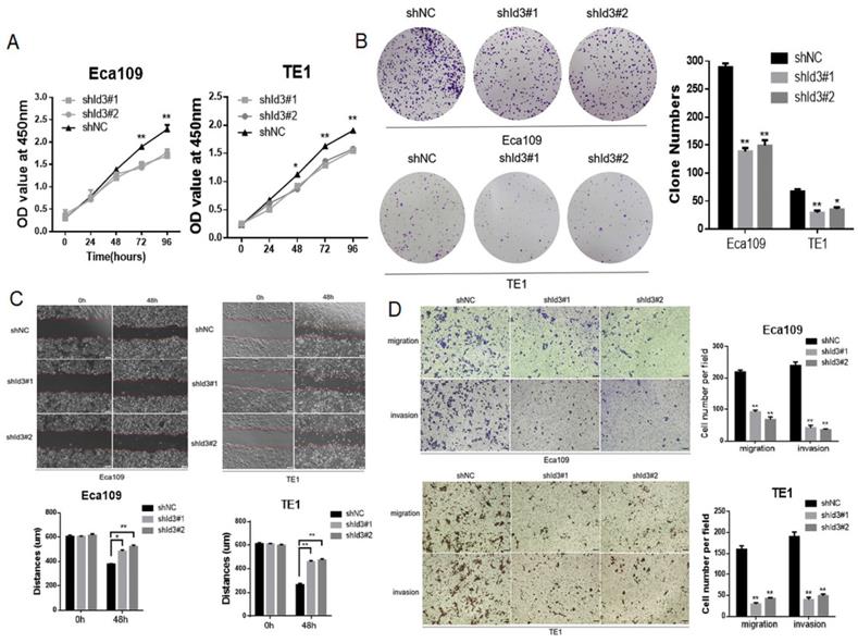 Int J Biol Sci Image