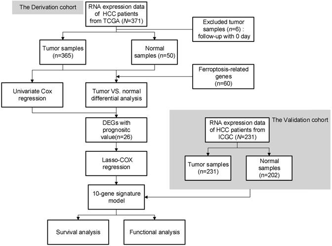 Int J Biol Sci Image