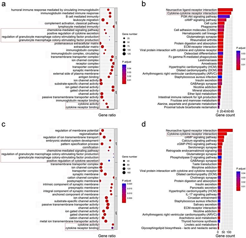 Int J Biol Sci Image