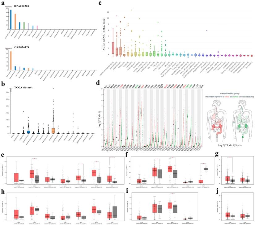 Int J Biol Sci Image