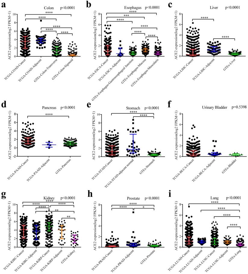 Int J Biol Sci Image