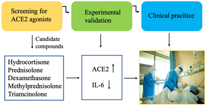 Int J Biol Sci Image