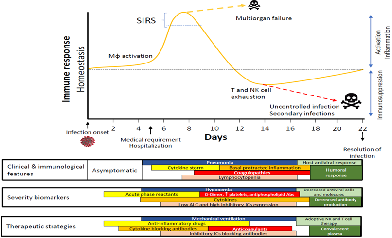 Int J Biol Sci Image