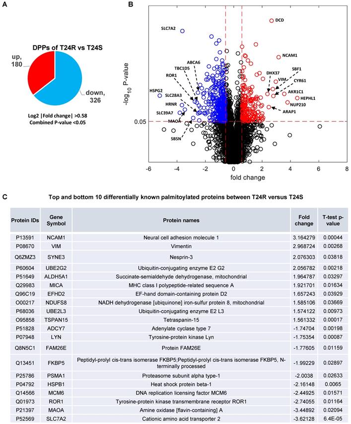 Int J Biol Sci Image