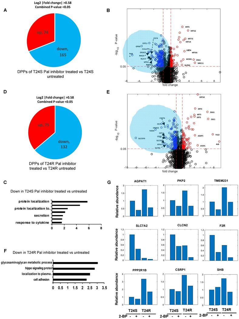 Int J Biol Sci Image