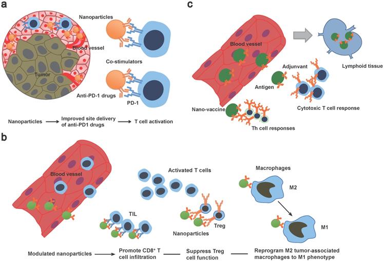 Int J Biol Sci Image