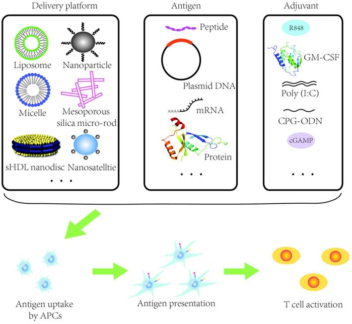 Int J Biol Sci Image