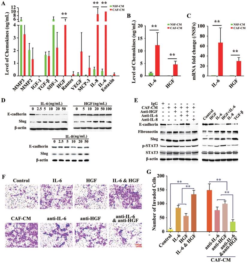 Int J Biol Sci Image