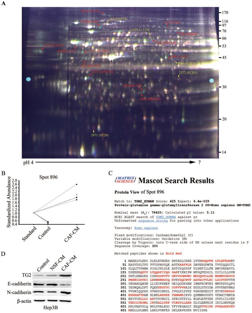 Int J Biol Sci Image