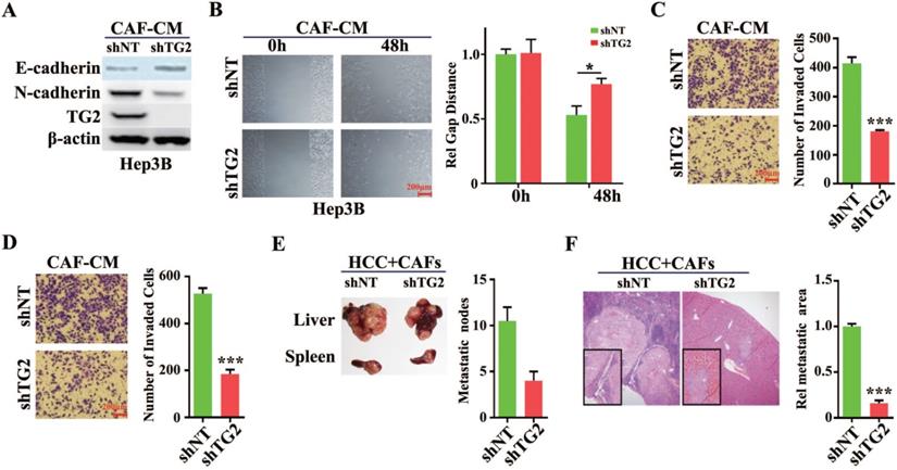 Int J Biol Sci Image