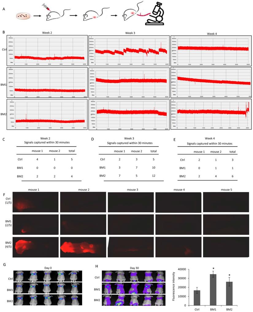 Int J Biol Sci Image