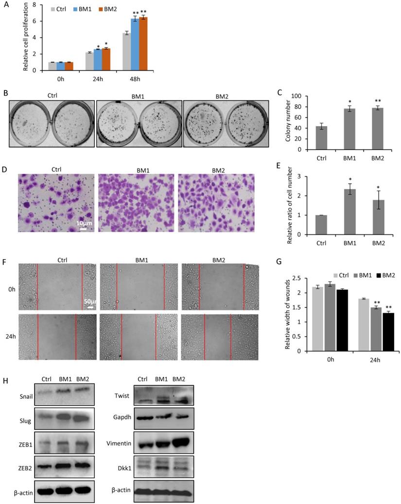 Int J Biol Sci Image