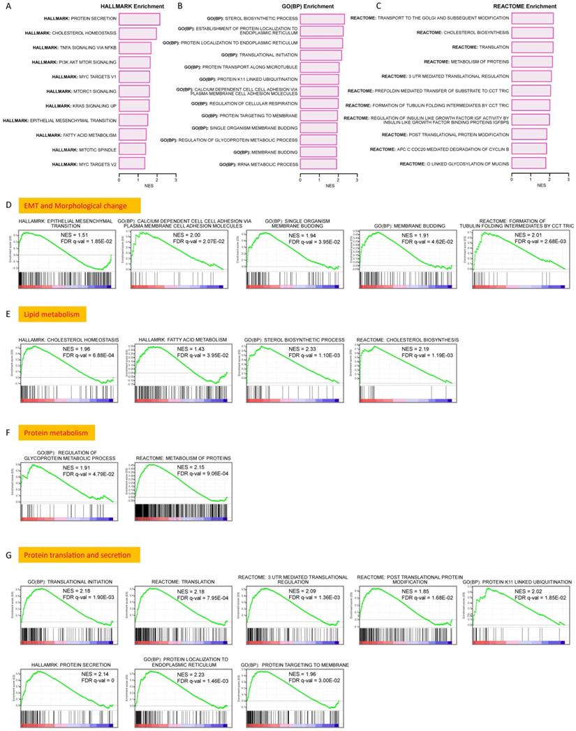 Int J Biol Sci Image