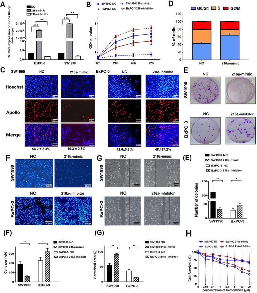 Int J Biol Sci Image