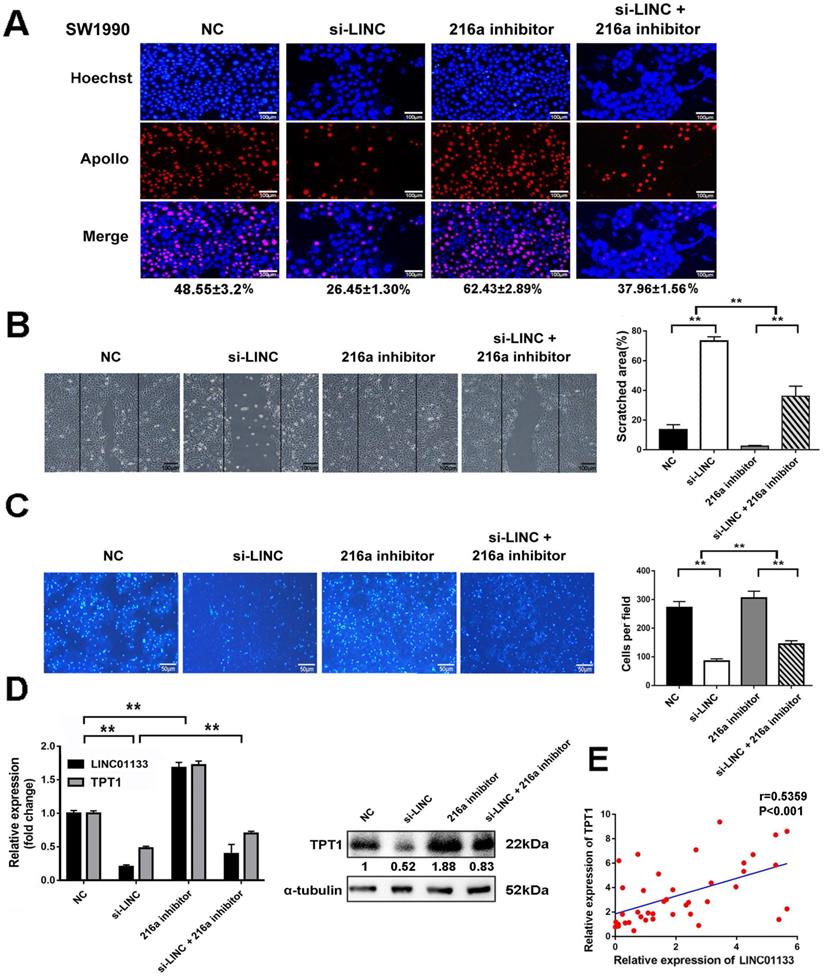 Int J Biol Sci Image