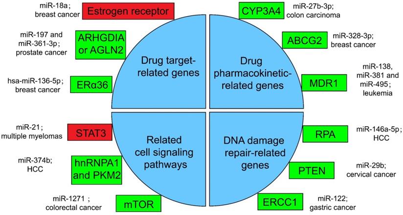 Int J Biol Sci Image