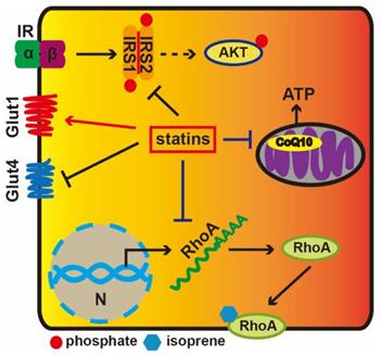 Int J Biol Sci Image