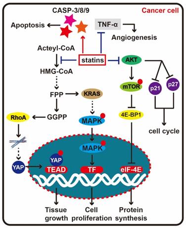 Int J Biol Sci Image