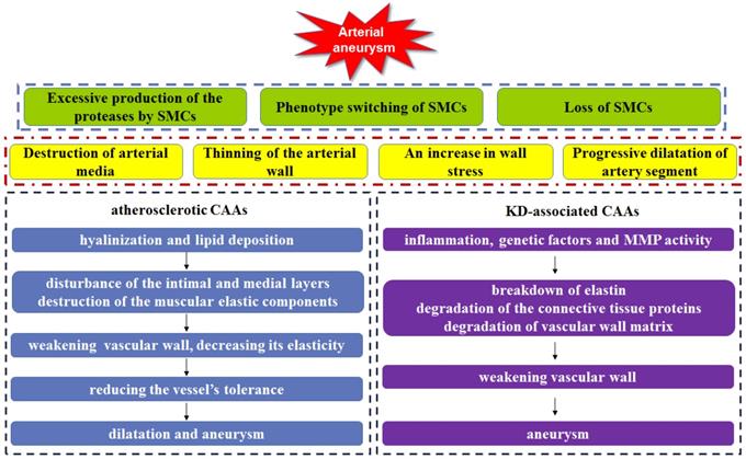 Int J Biol Sci Image