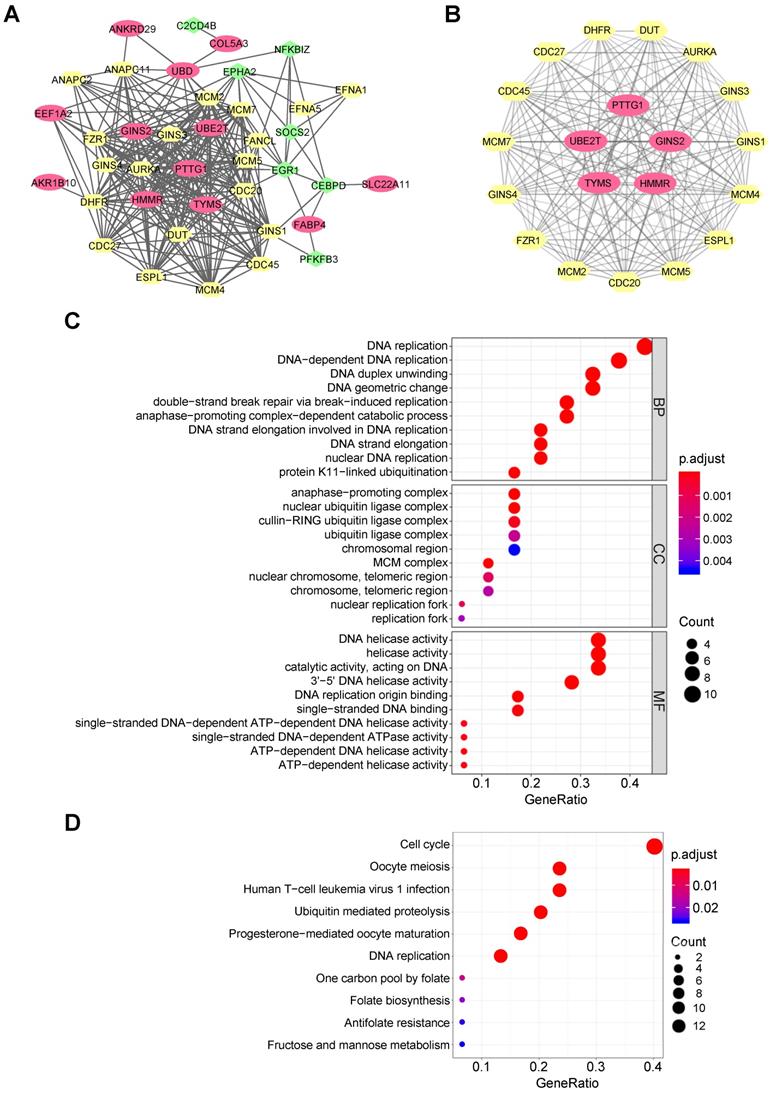 Int J Biol Sci Image