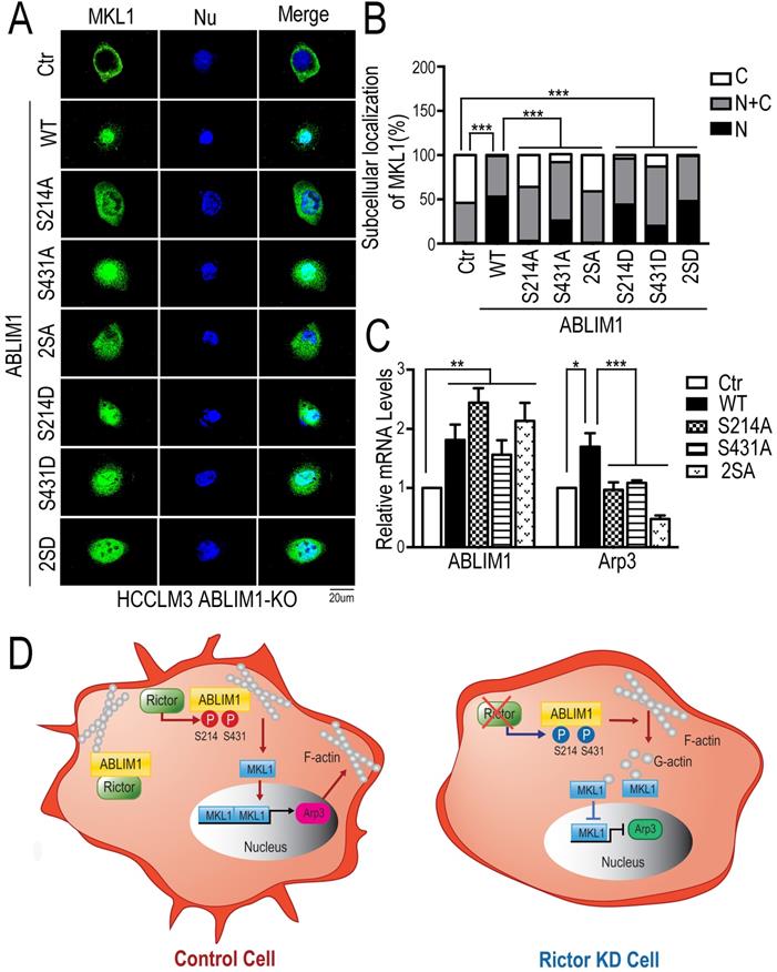 Int J Biol Sci Image