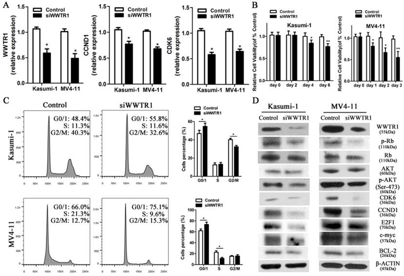 Int J Biol Sci Image