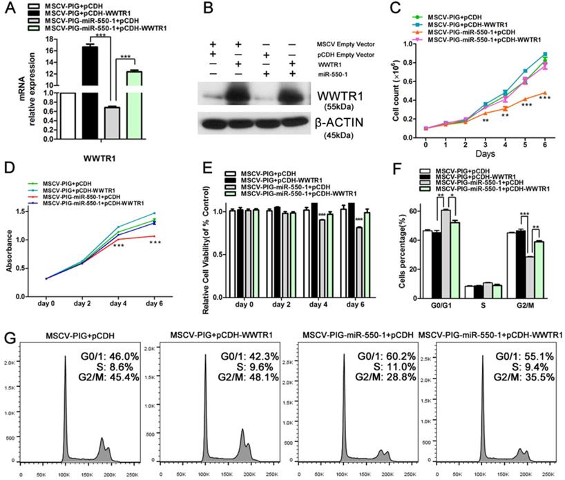 Int J Biol Sci Image