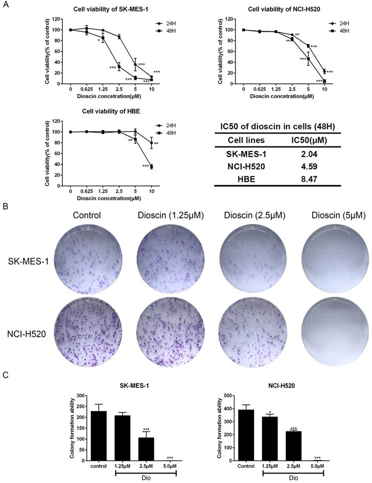 Int J Biol Sci Image