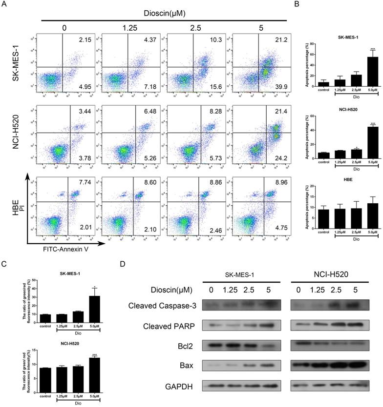 Int J Biol Sci Image