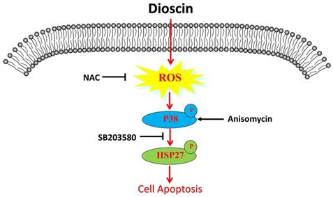 Int J Biol Sci Image