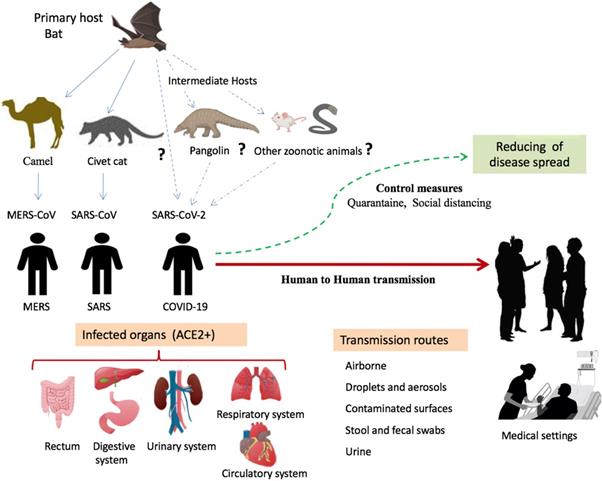 Int J Biol Sci Image