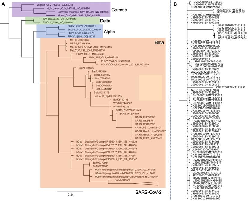 Int J Biol Sci Image