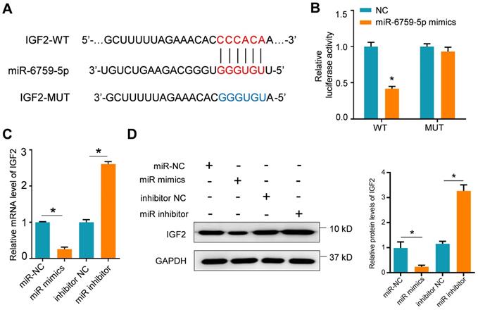 Int J Biol Sci Image