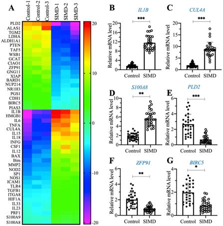 Int J Biol Sci Image