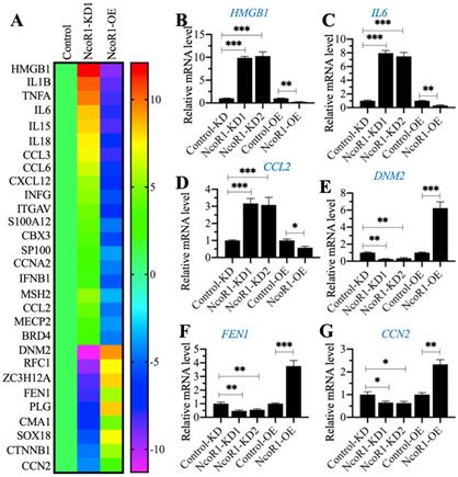 Int J Biol Sci Image